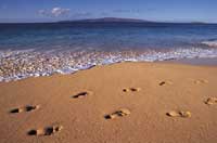 Sea Shore